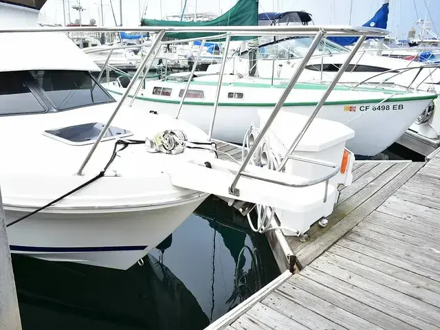 Skipjack Boats Flybridge 262