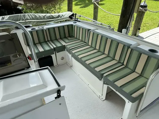 Beachcat Cat Deck Boat