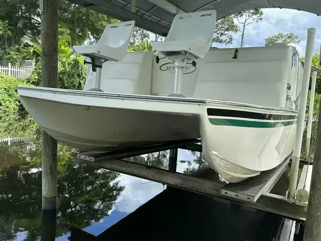 Beachcat Cat Deck Boat