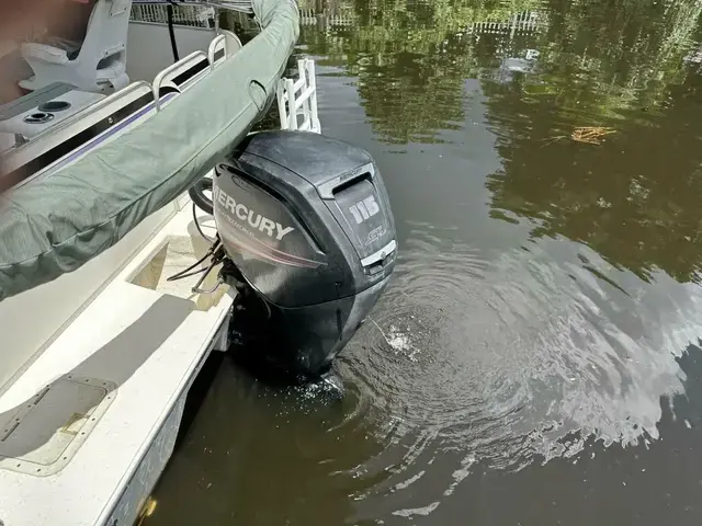 Beachcat Cat Deck Boat