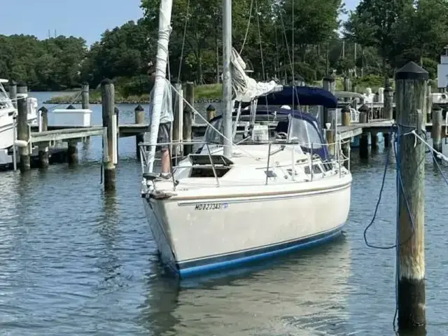 Catalina 30