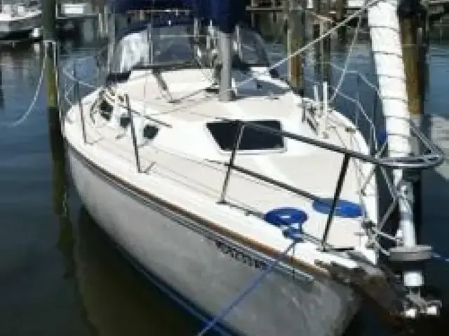 Catalina 30