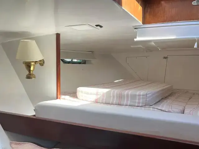 Picchiotti Yachts Giannutri