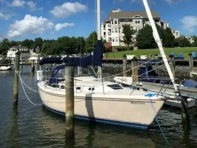 Catalina 30