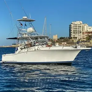 2005 Luhrs 31 Open