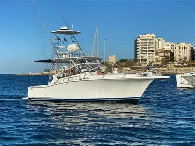 Luhrs 31