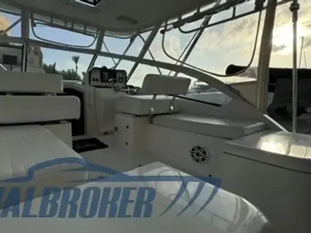 Luhrs 31 Open