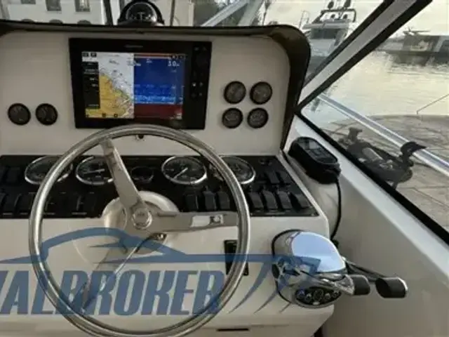 Luhrs 31 Open