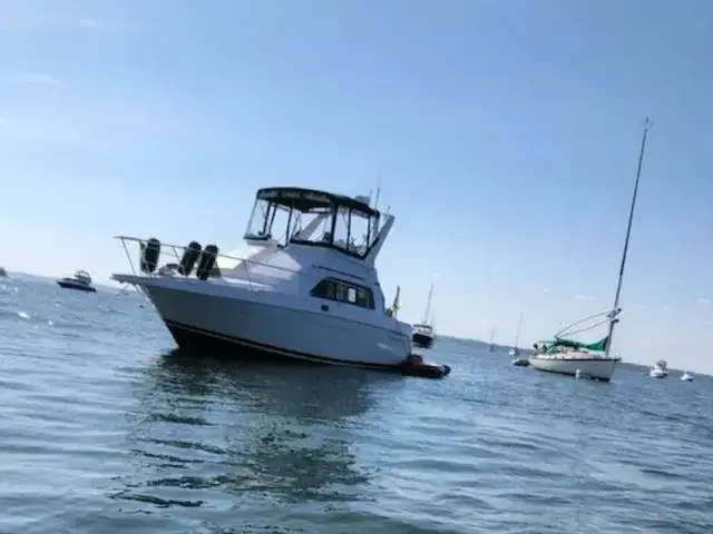 Mainship Boats Sedan Bridge