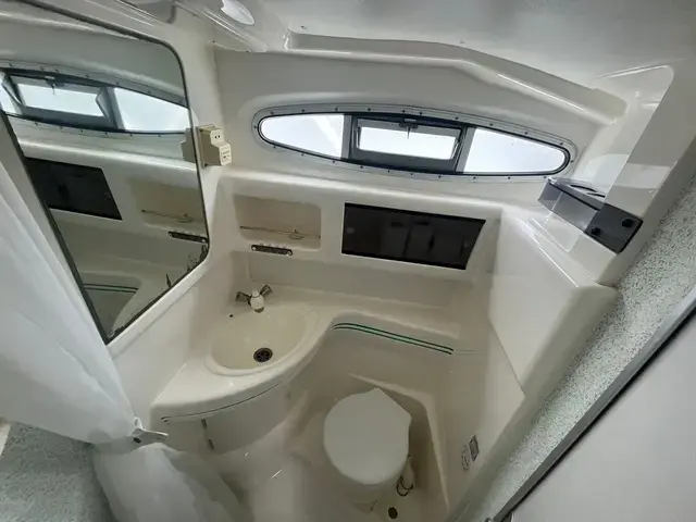 Sealine 310 Ambassador