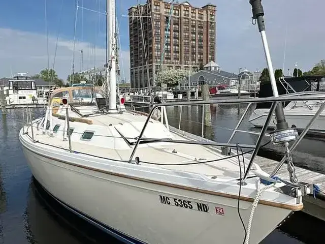 Catalina 34 Sloop