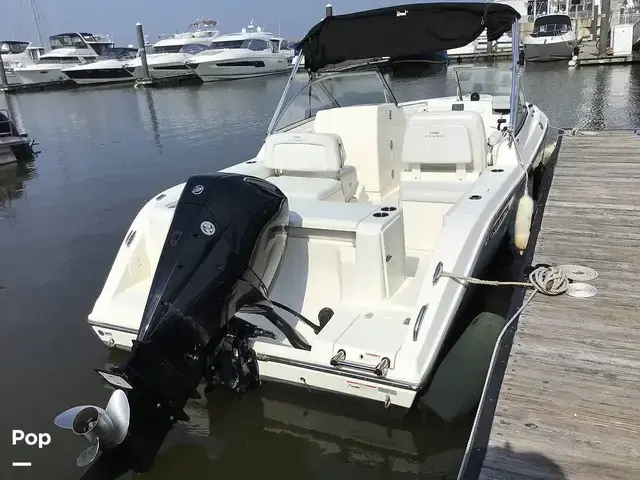 Cobia 220 Dc