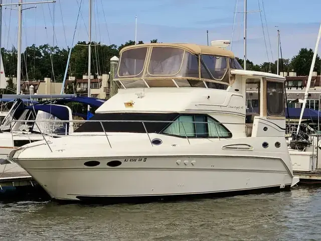 Sea Ray 31