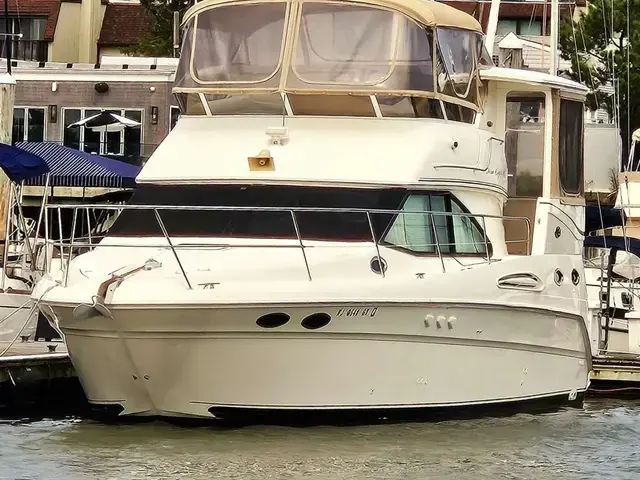 Sea Ray 31