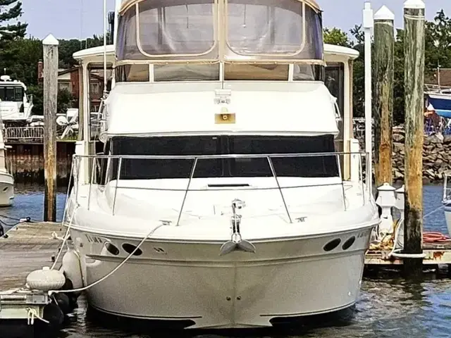 Sea Ray 31