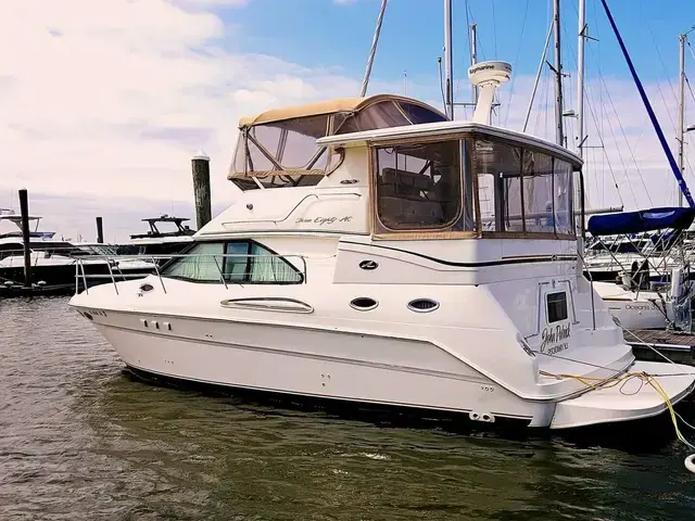 Sea Ray 31