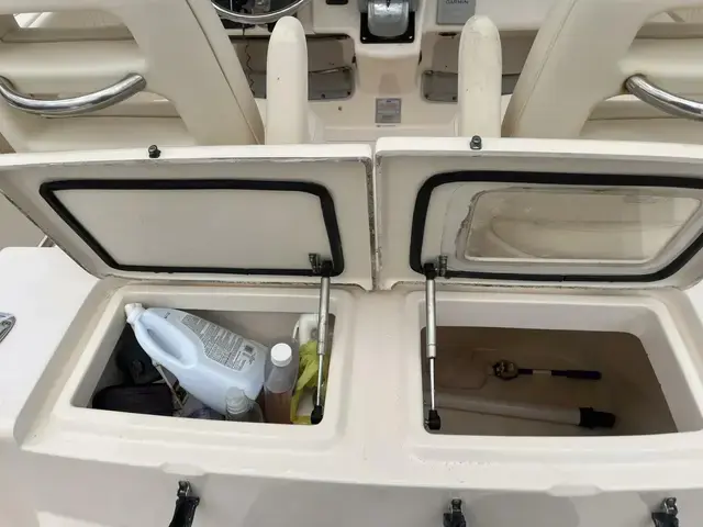 Grady White 306 Bimini