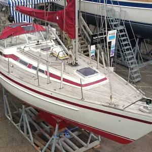 1988 Aphrodite 33