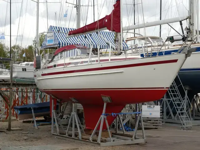 Aphrodite 33