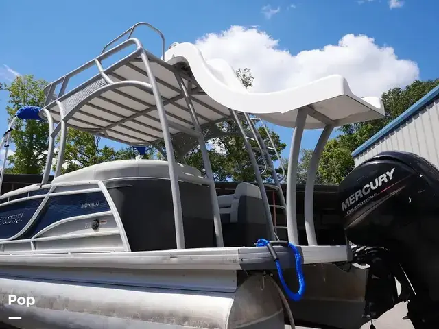 Godfrey Pontoon Monaco 255 SDE