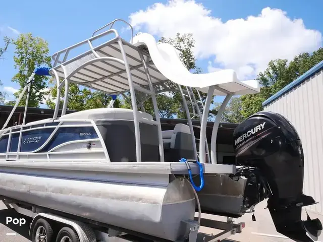 Godfrey Pontoon Monaco 255 SD