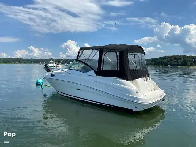 Sea Ray 240 Sundancer