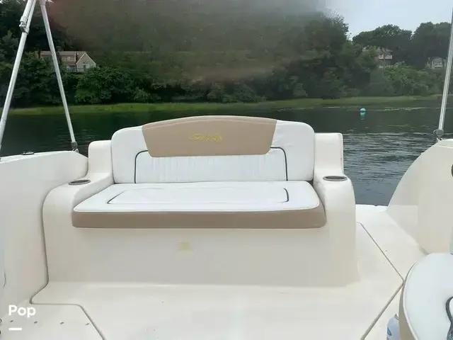 Sea Ray 240 Sundancer