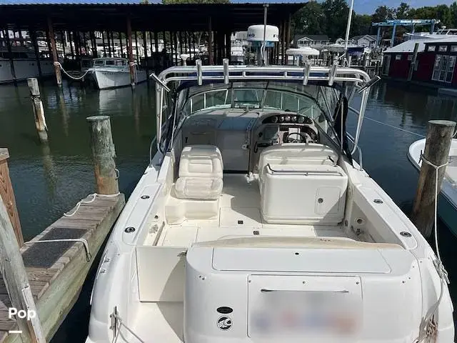 2004 Sea Ray 290 amberjack