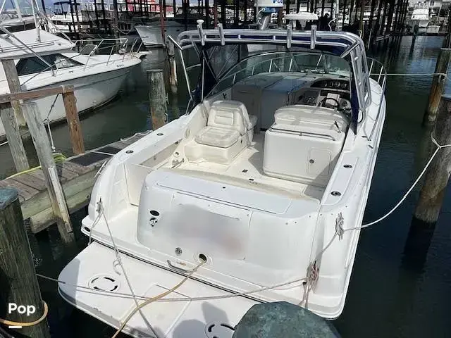 Sea Ray 290 Amberjack