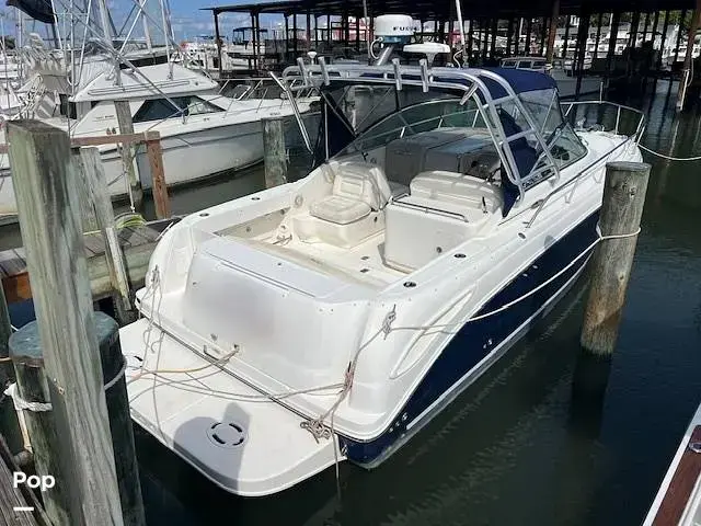 Sea Ray 290 Amberjack