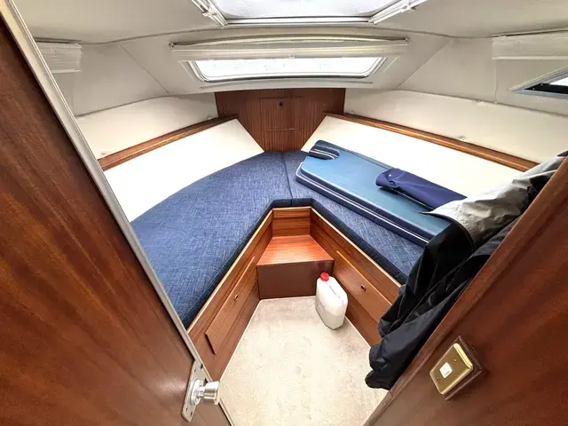 Broom Ocean 31