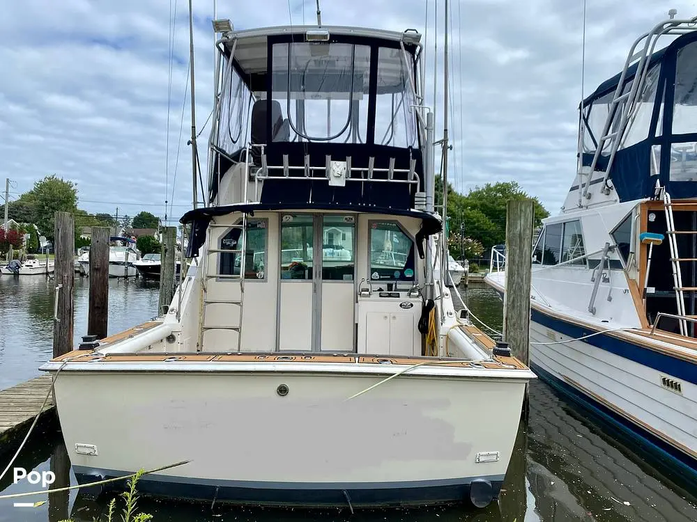 1978 Bertram 35 sportfish