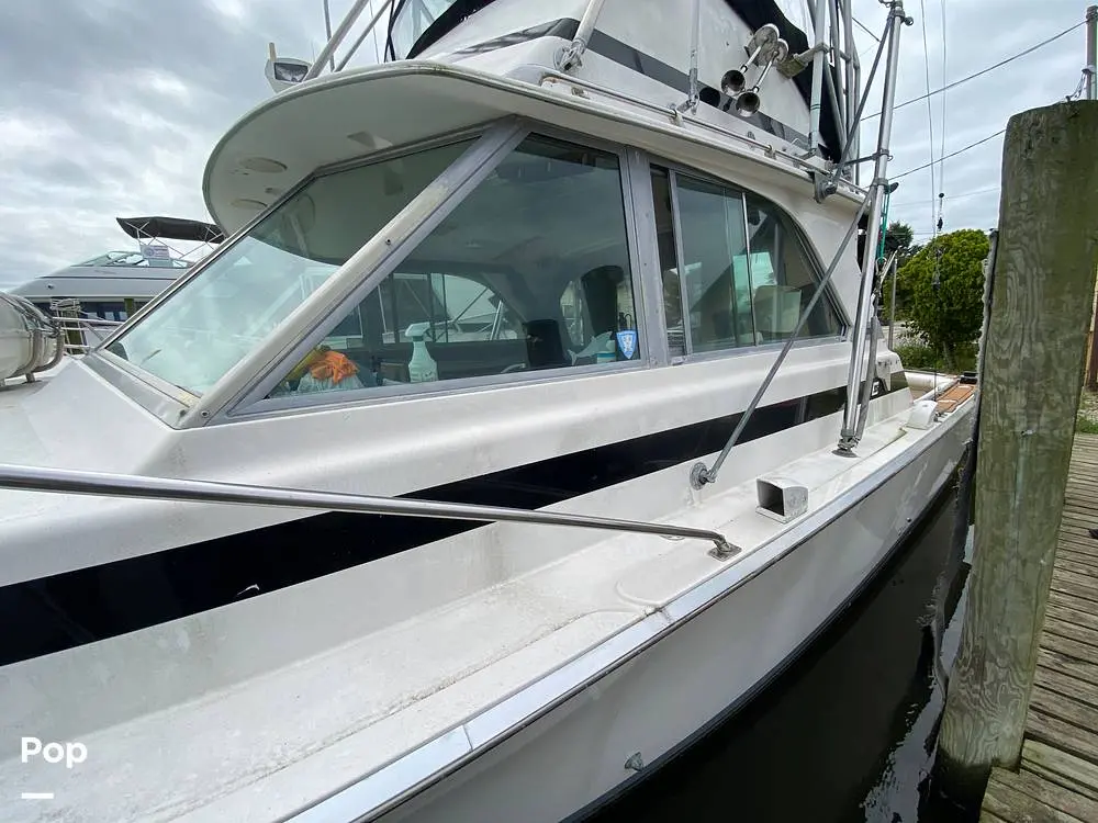 1978 Bertram 35 sportfish