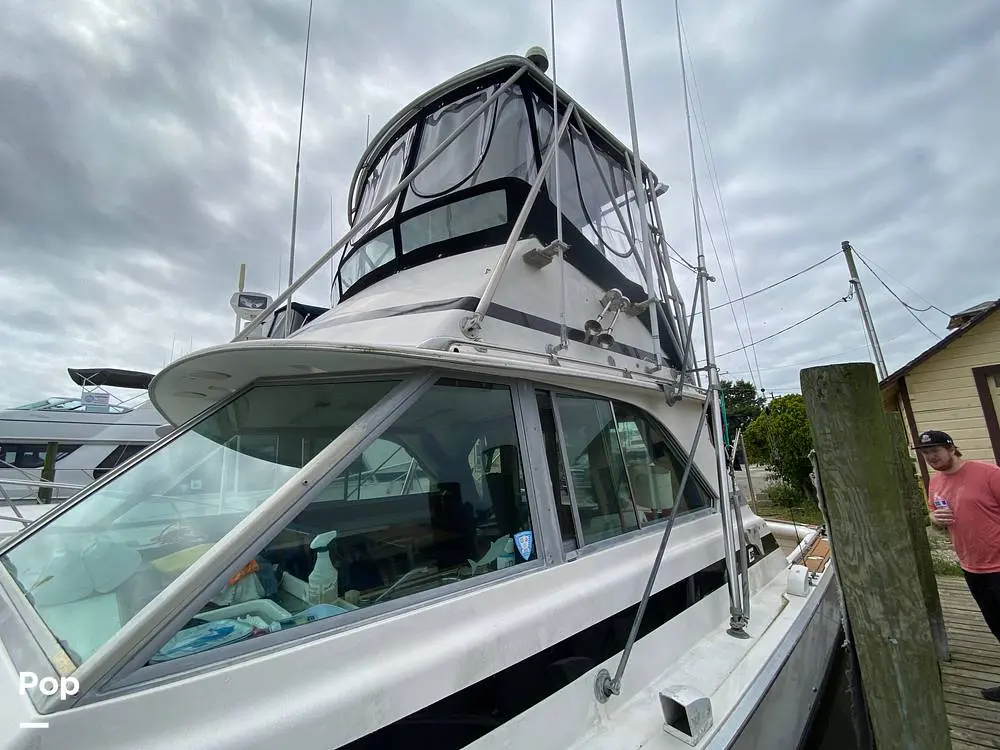 1978 Bertram 35 sportfish