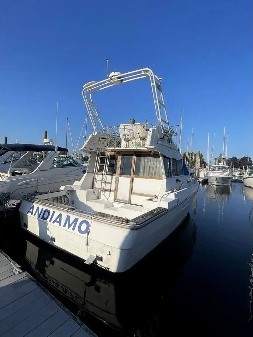 1987 Bayliner 3460