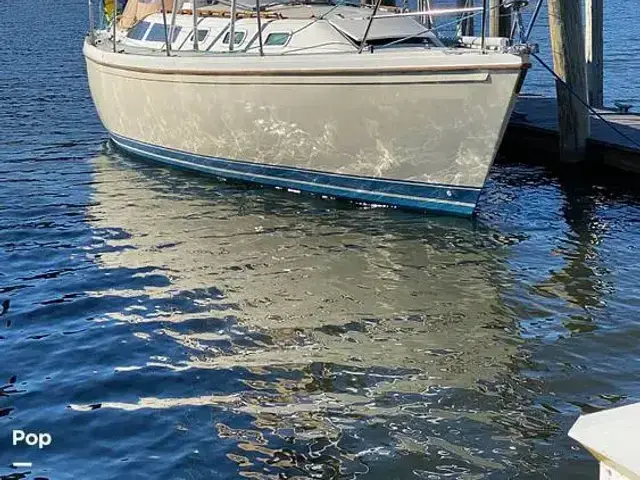 Catalina 34