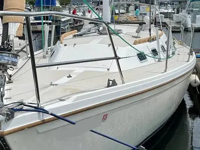 Catalina 34