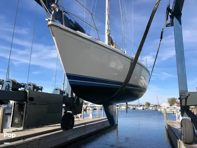 Catalina 34