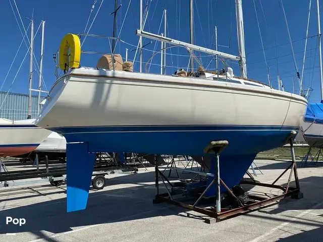 Catalina 34