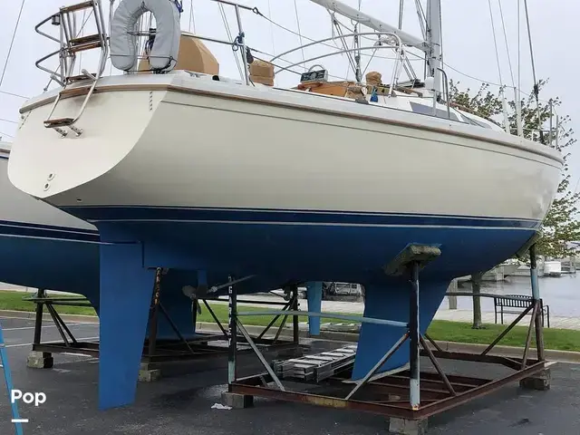 Catalina 34