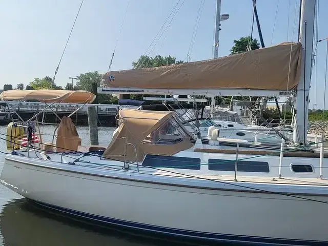 Catalina 34