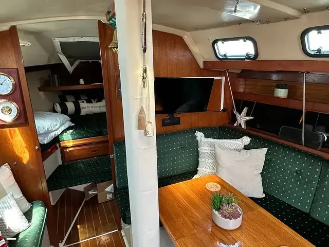 Catalina 34