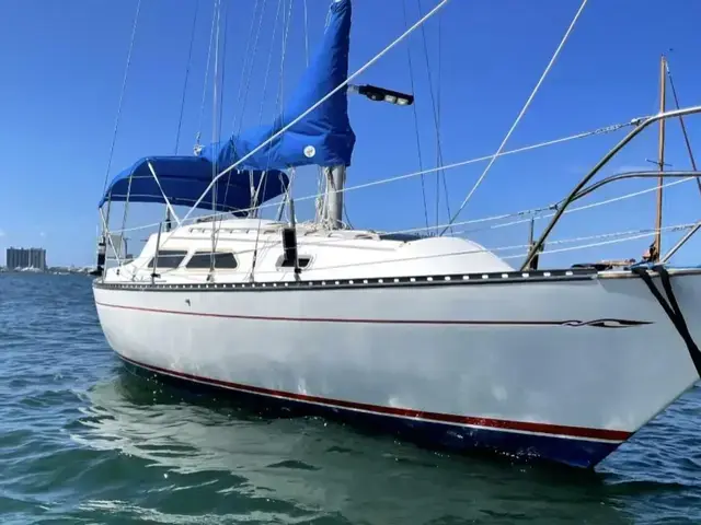 Islander 28