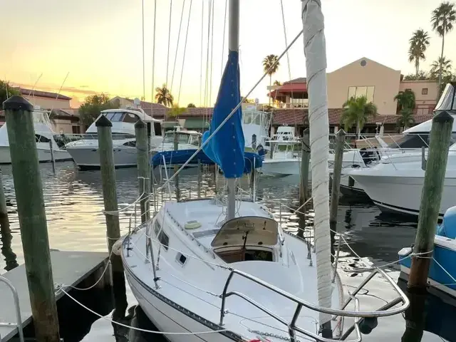 Islander 28