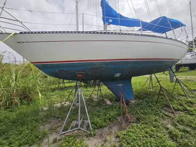 Islander 28