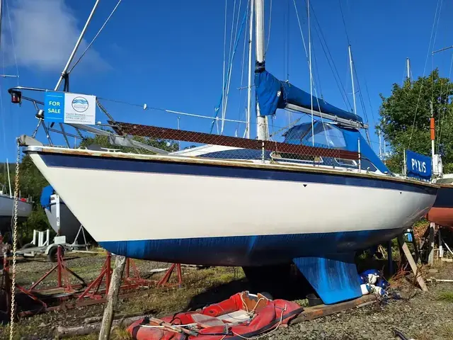 Westerly Tempest 31