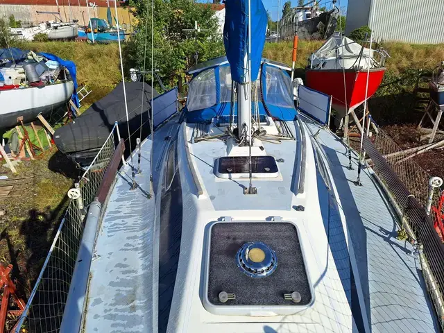 Westerly Tempest 31