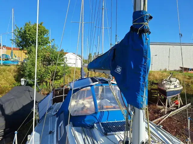 Westerly Tempest 31