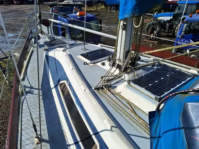 Westerly Tempest 31