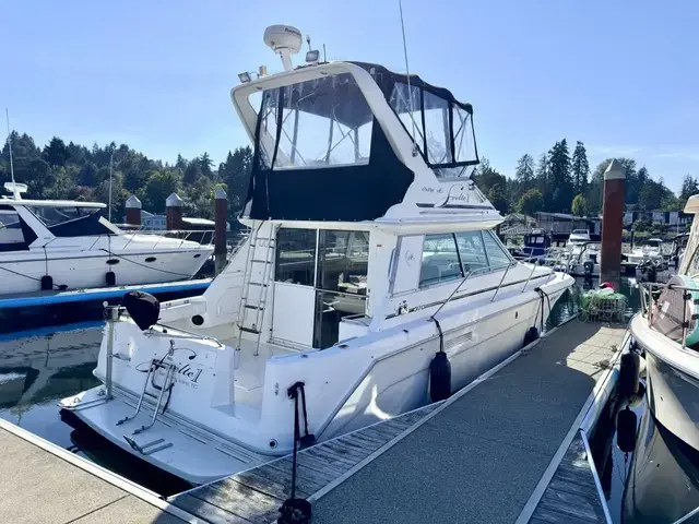 Sea Ray 370 Sedan Bridge